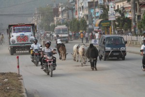 chhada gai 1